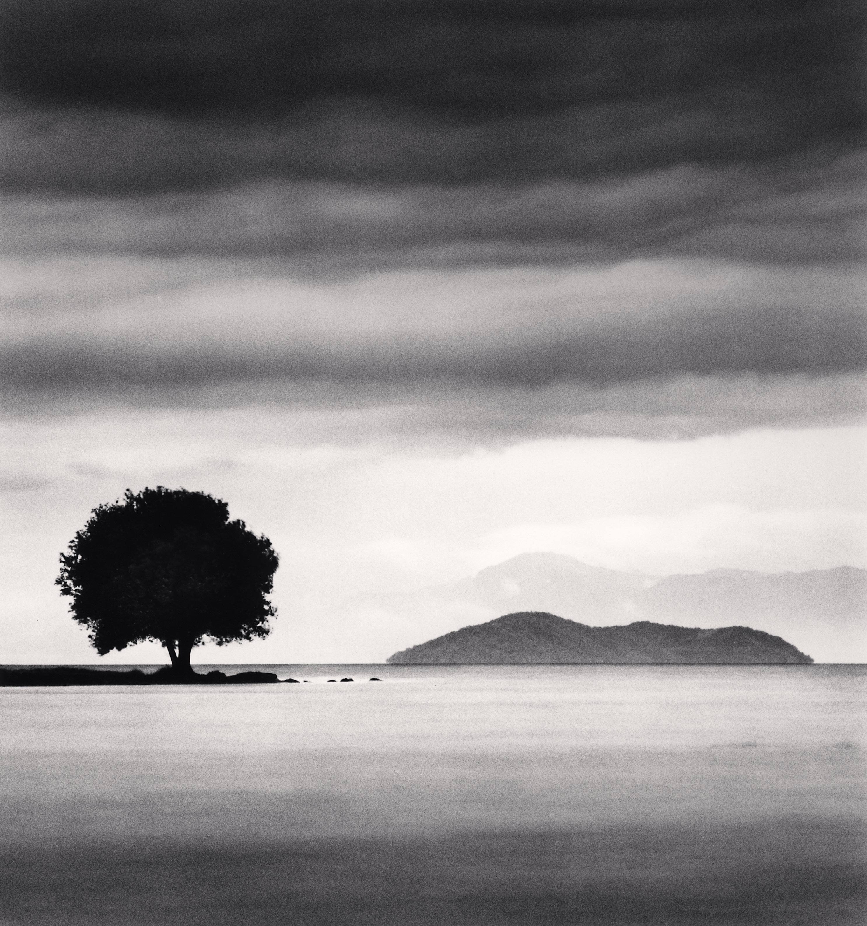 Biwa Lake Tree, Study 4, Omi, Honhsu, Japan.