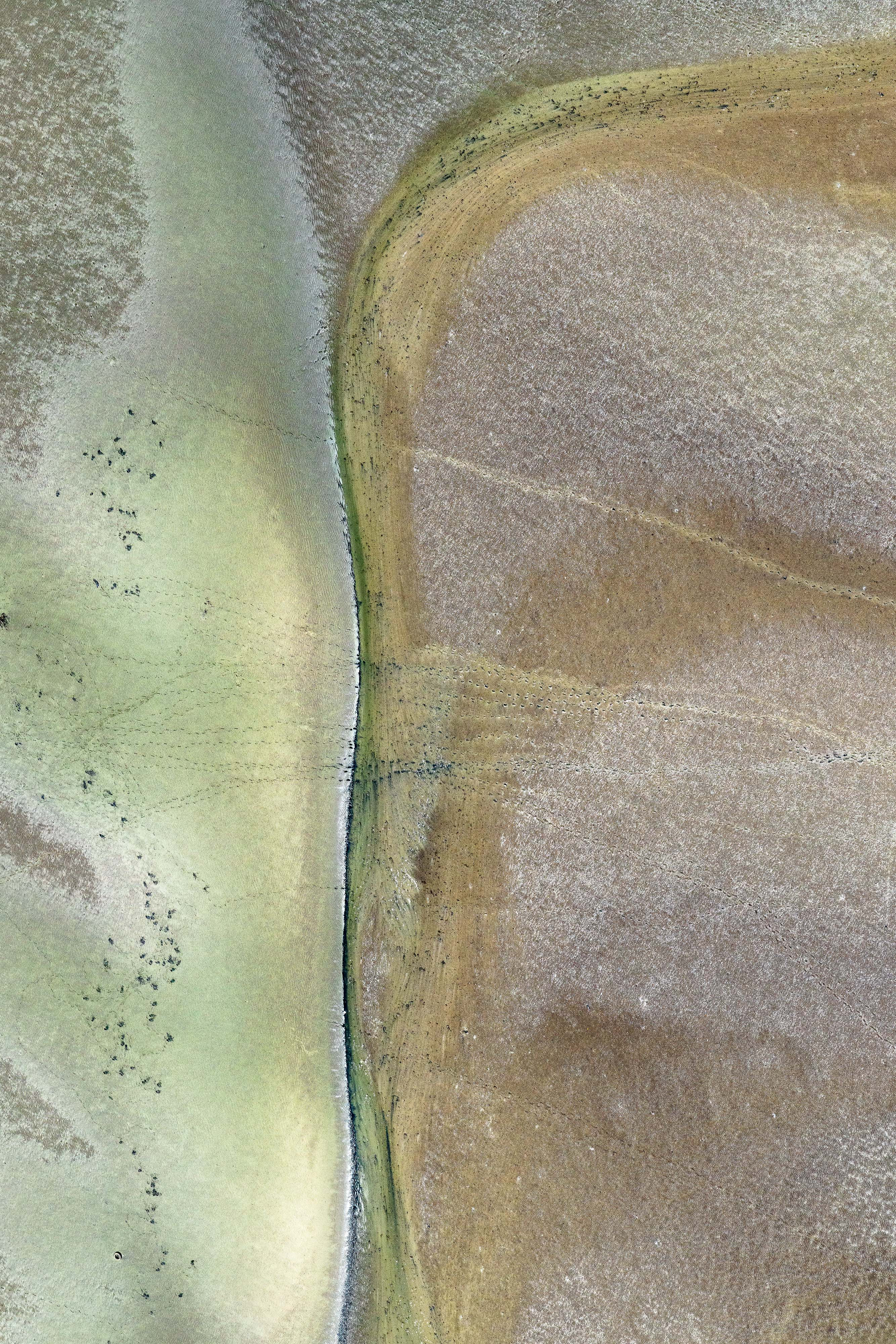 Sem título, BTS, Bahia