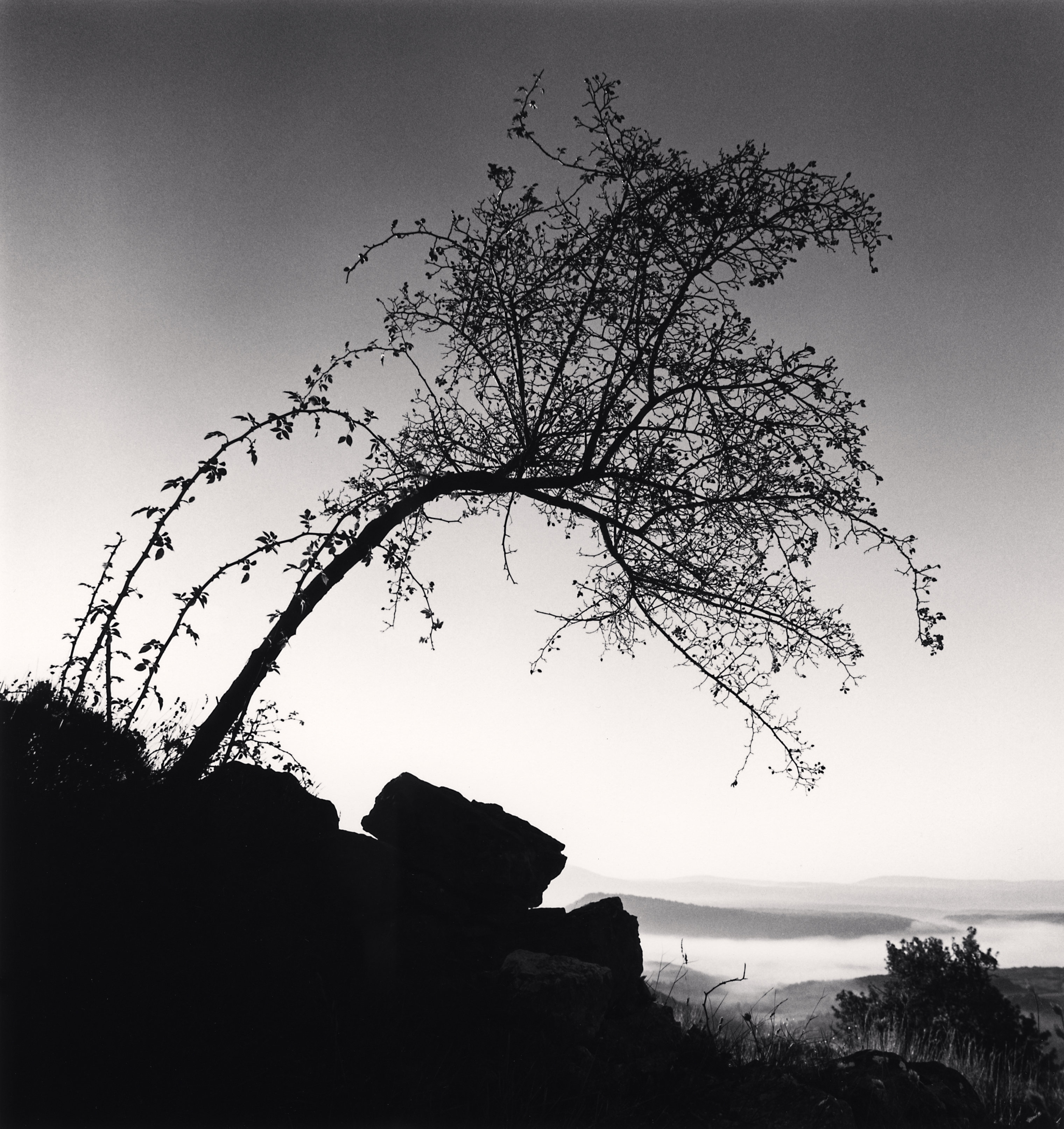 l’Églantier, Bargème, France.