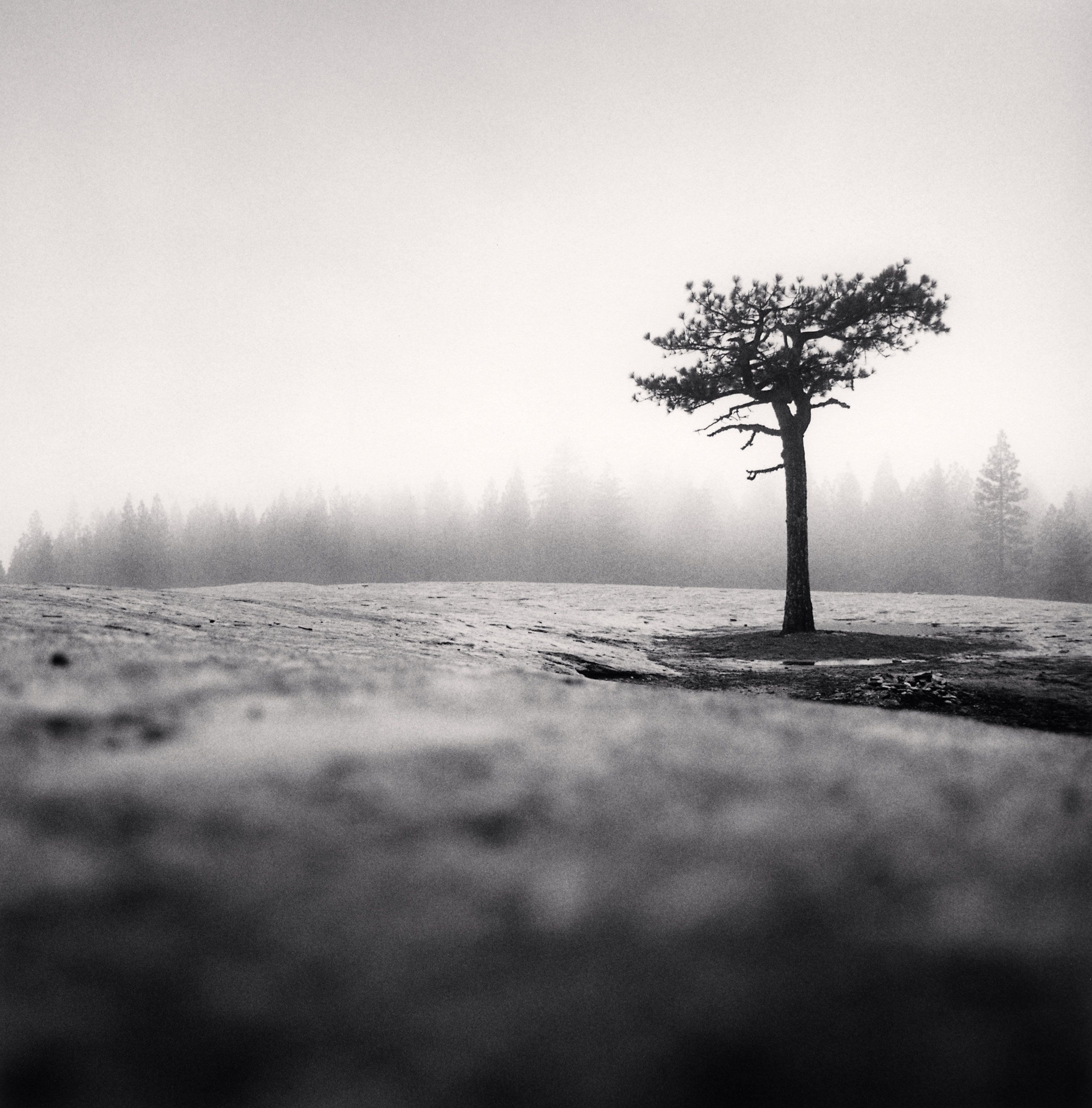 Walking on the Moon, Bass Lake, California, USA.