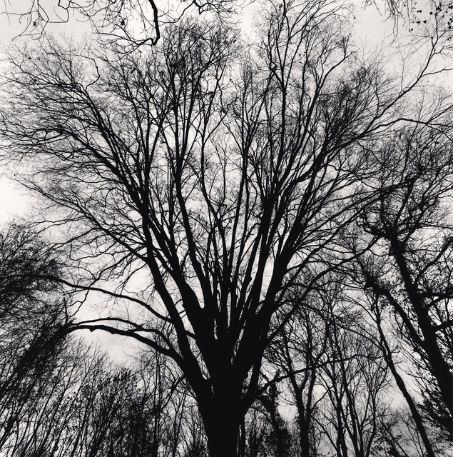 Le Desert de Retz - Study 30, France.