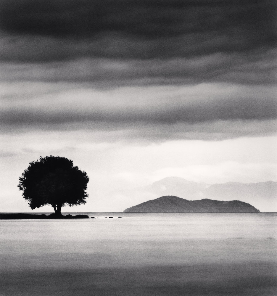 Biwa Lake Tree, Study 4, Omi, Honhsu, Japan.