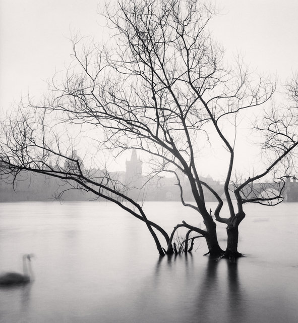 Swan Song - Prague, Czech Republic.