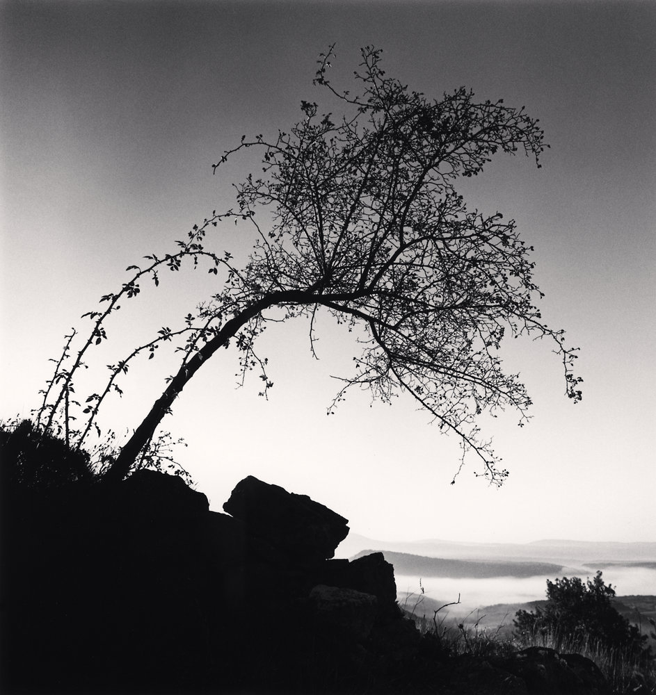 l’Églantier, Bargème, France.