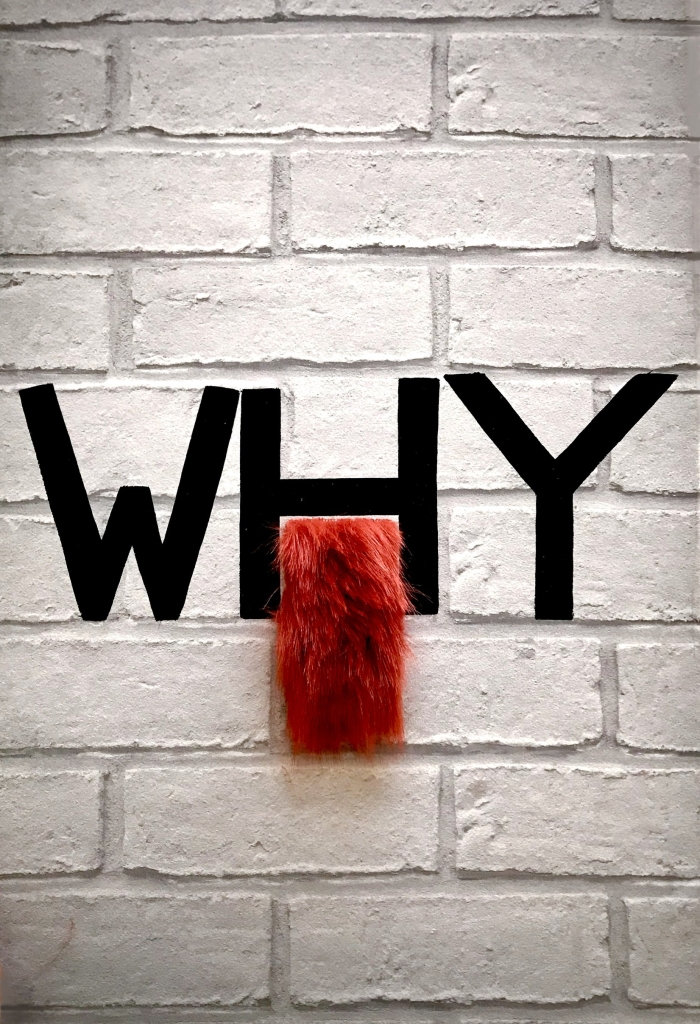 Why — Karen Tronel