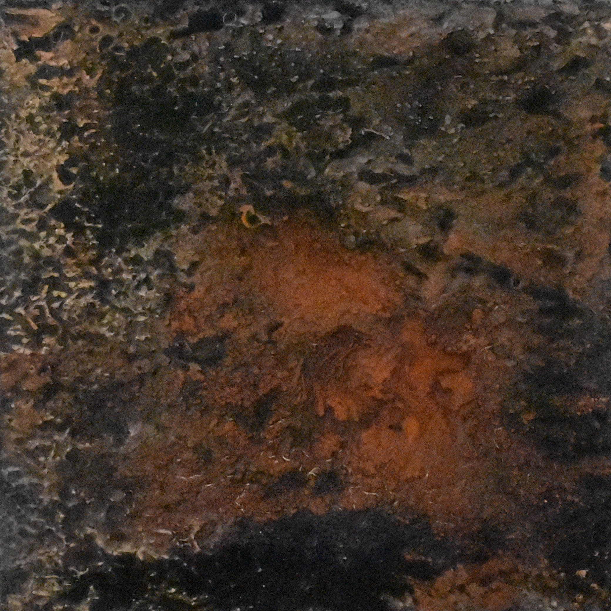 Hieronymus — view 4
