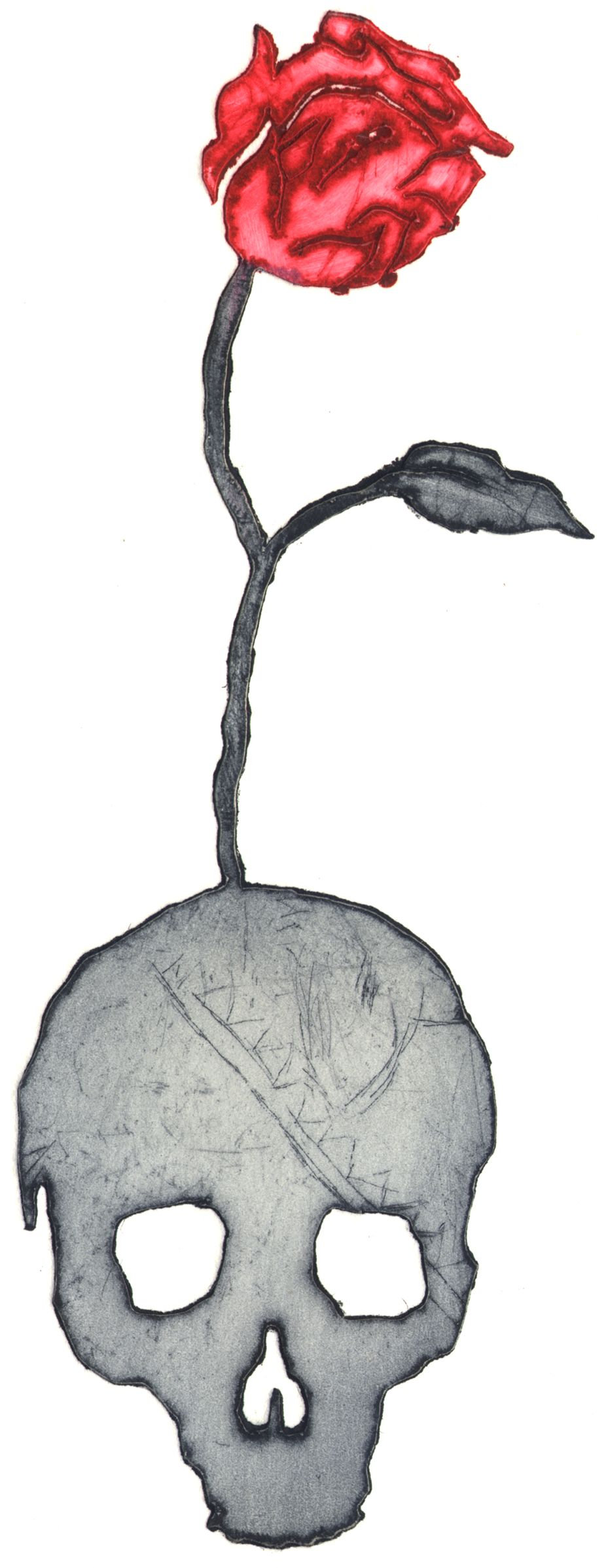 Plant Nutrition — view 3
