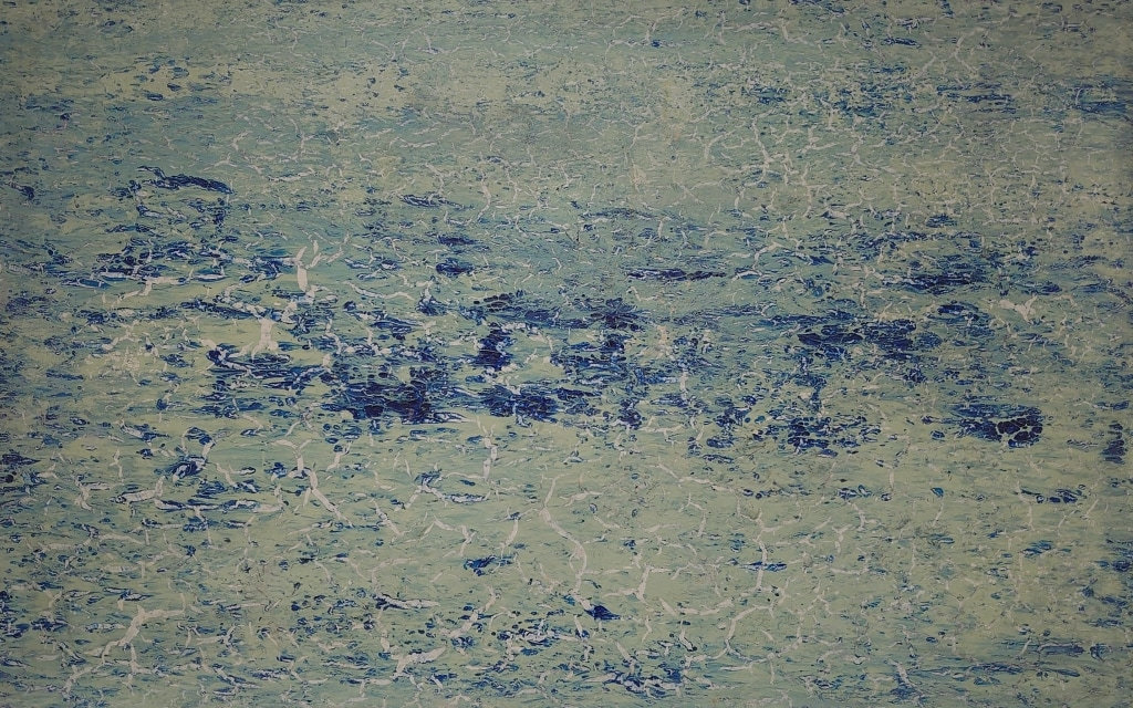 Antarctica — Roger Holtom
