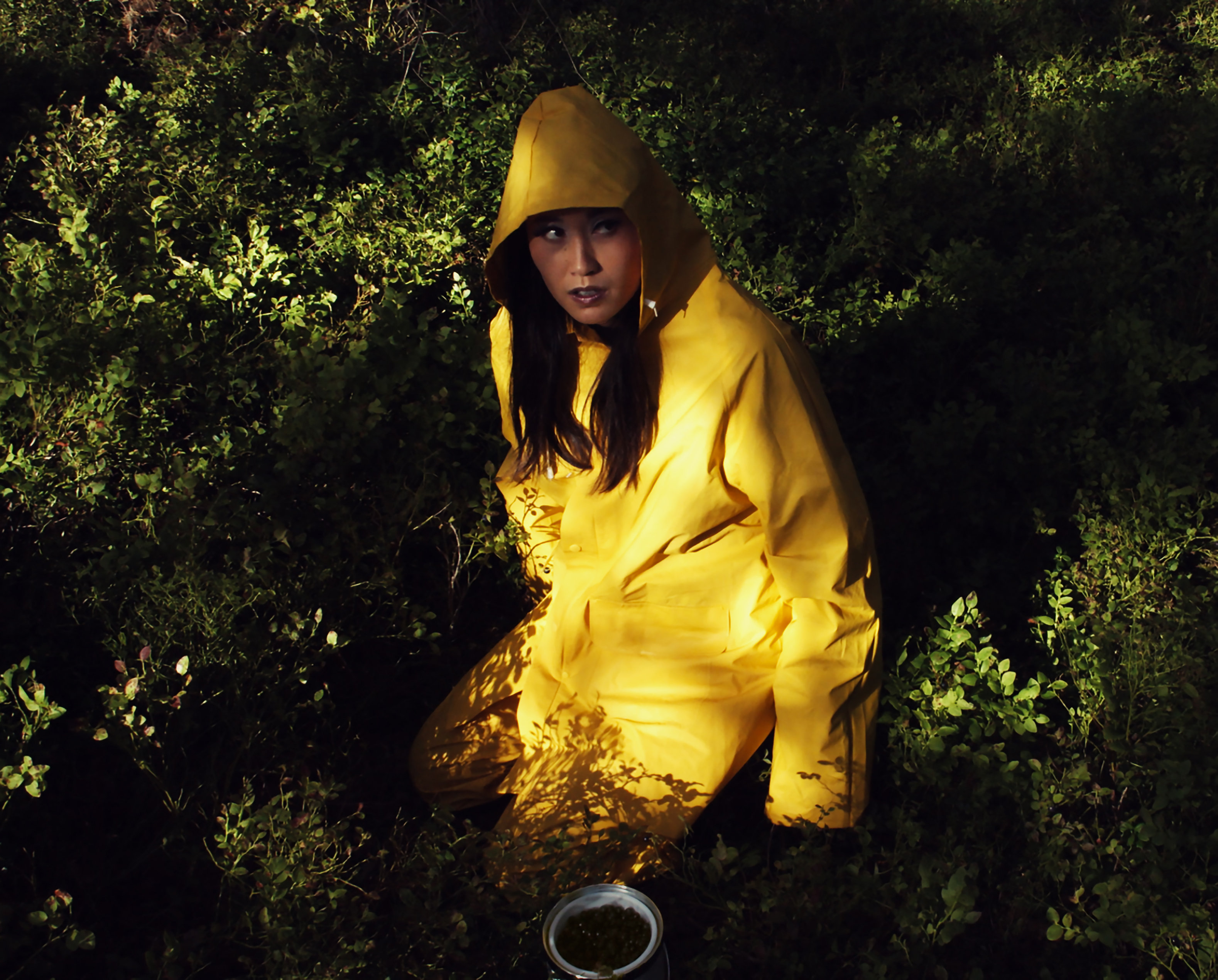 Blueberry Picker (White Sugar series) — Anikó Kuikka