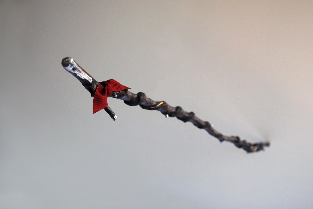 The Black Pearl — view 6