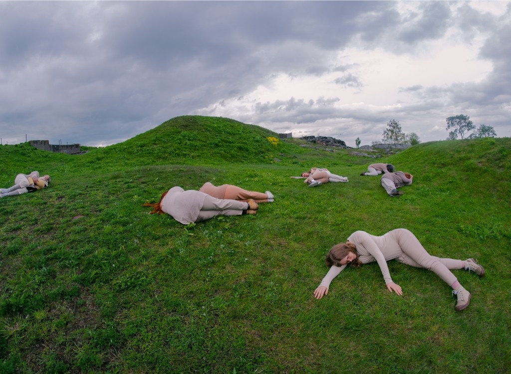 ‘Cows in a pasture’ (from the ELÄIN ANIMAL DJUR photo series) — Anikó Kuikka
