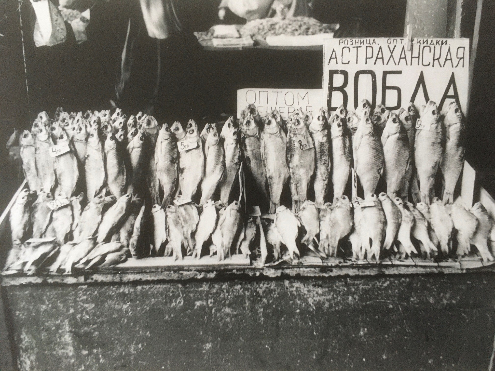 Fish – Pryvoz Market, 20th April 2003 — Nicholas Hopkins