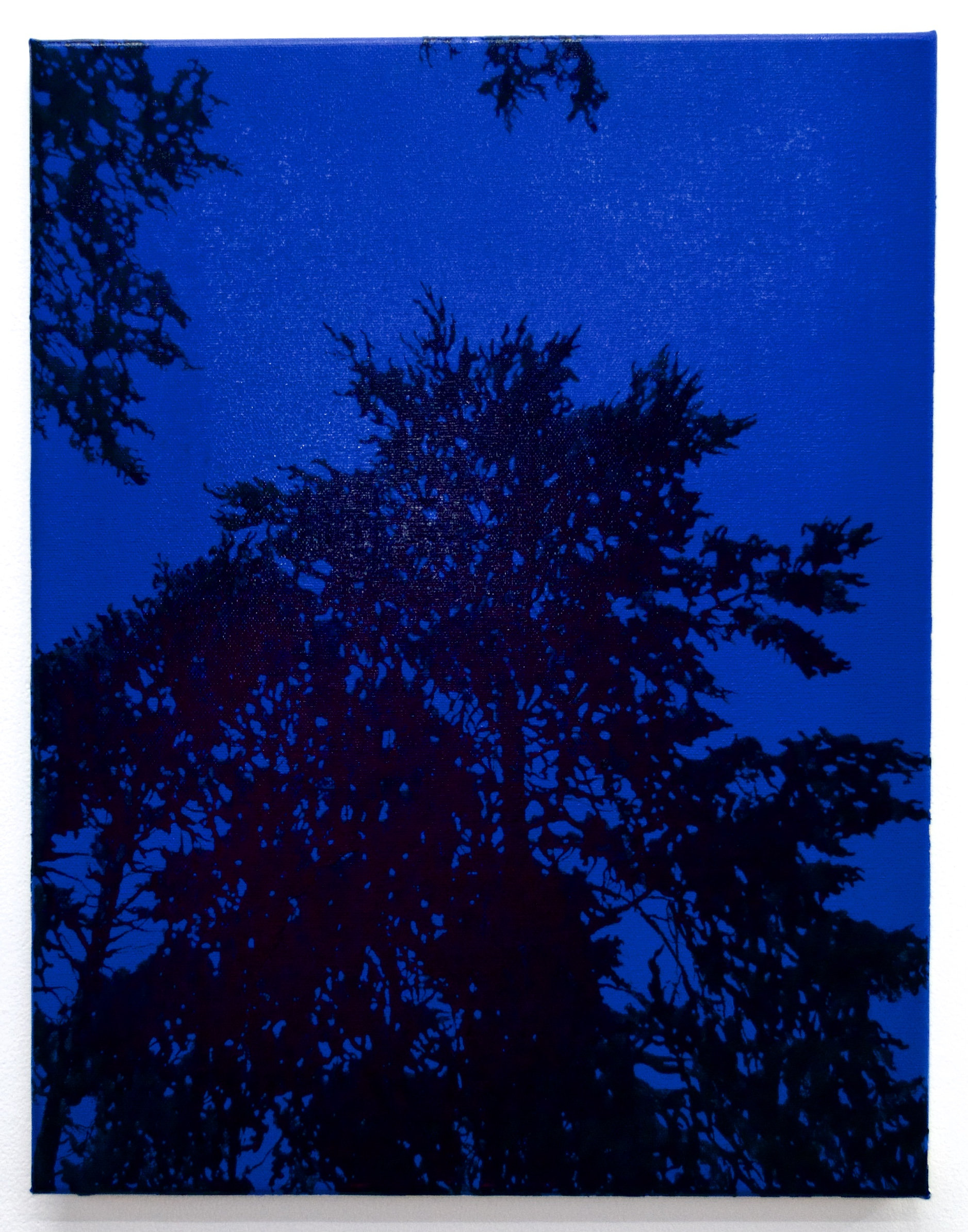 Hiipuva Valo (Dwindling Light) — Alex Gough