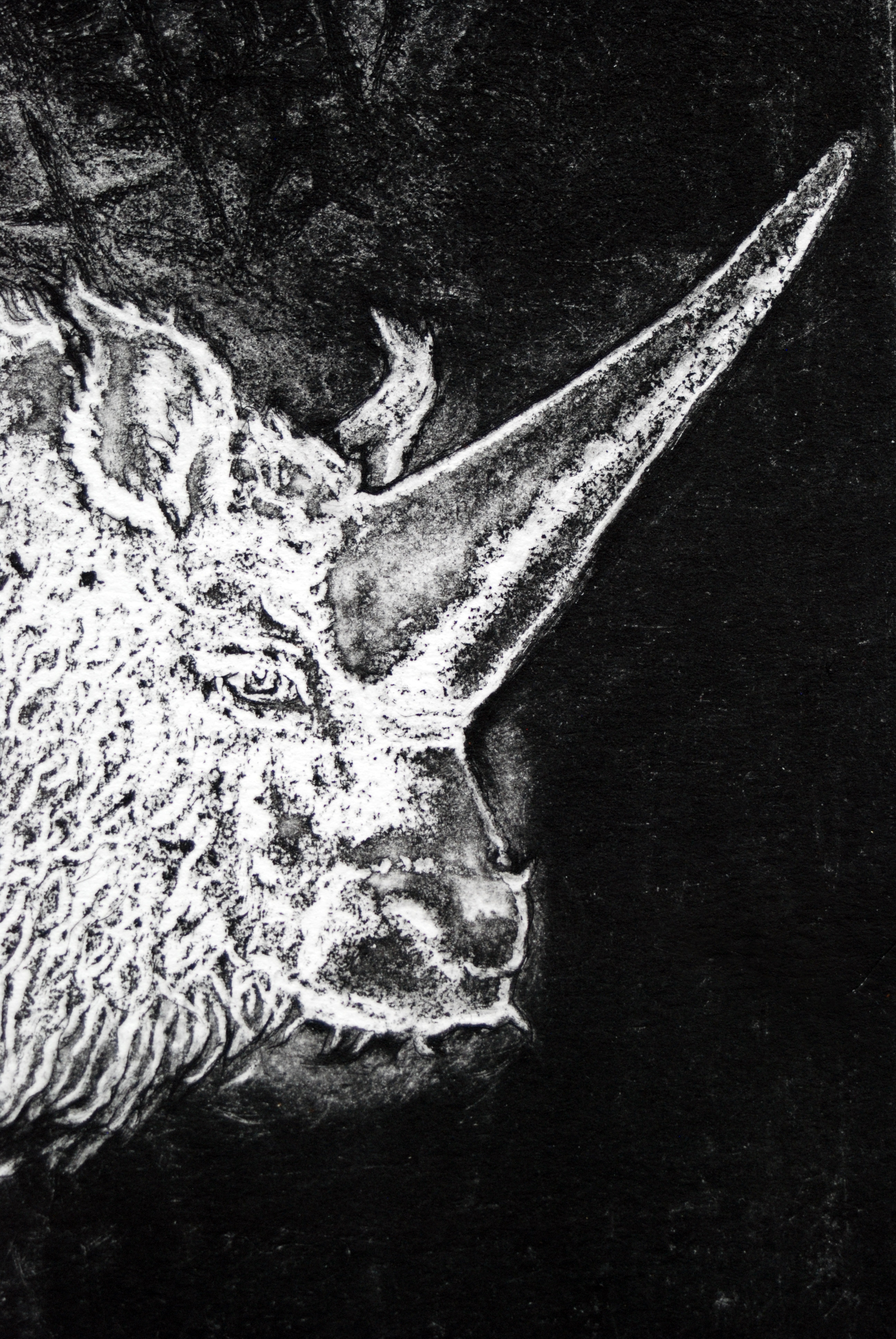 Ghost of a Unicorn — view 2