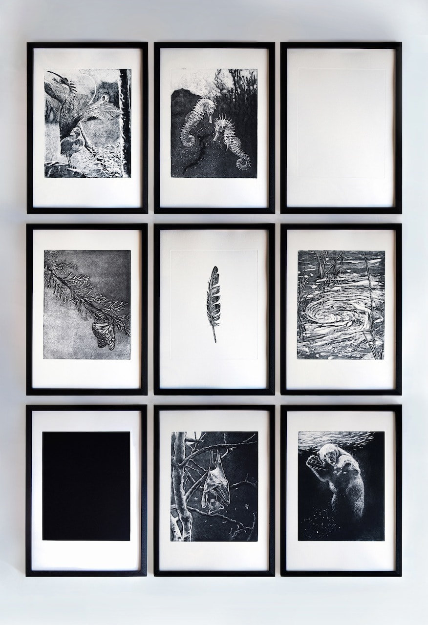 Spirit Animals — Nicole Wassall