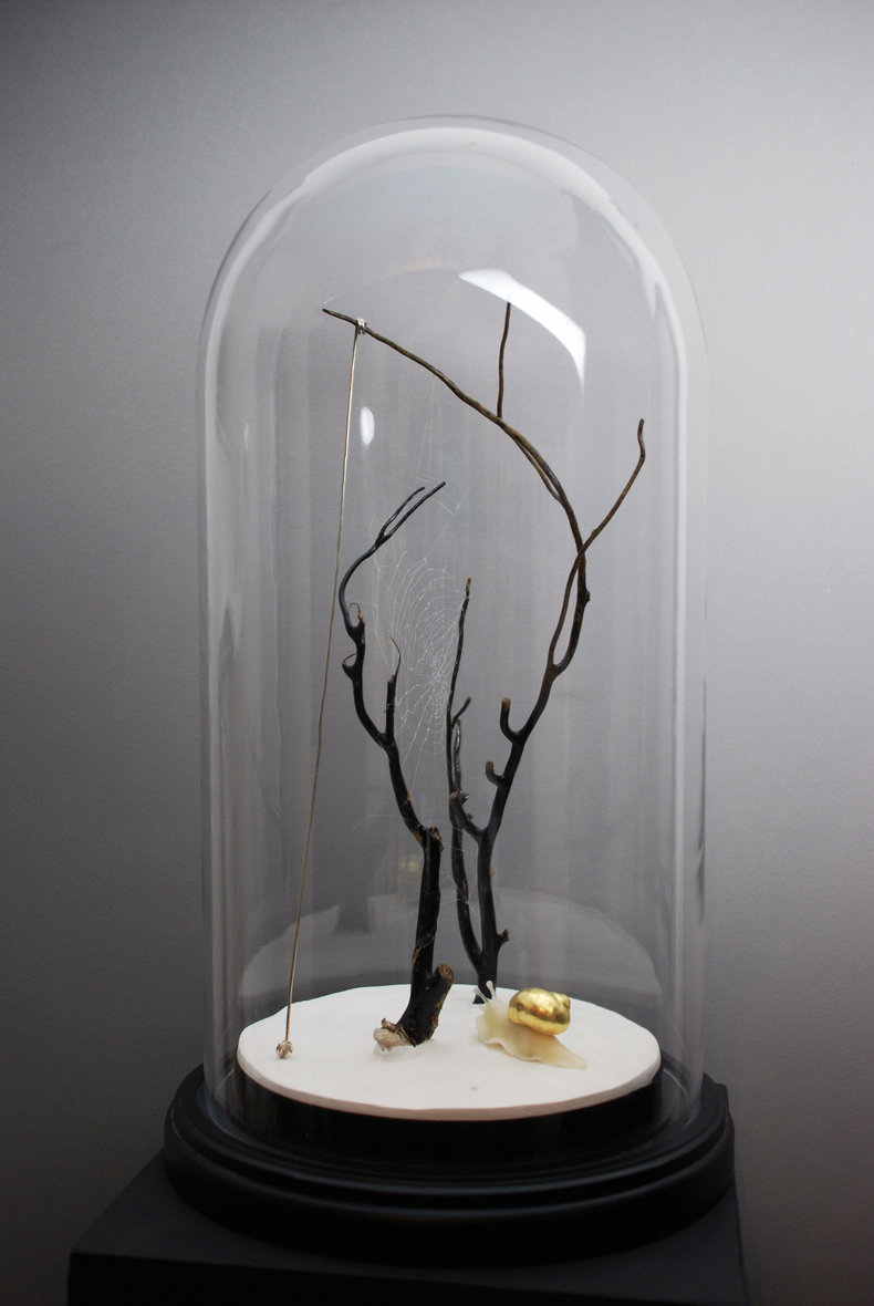 Mysterious Times — Nicole Wassall
