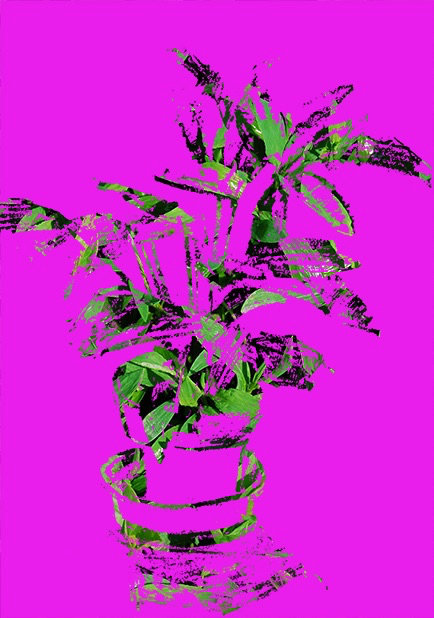 Flower Pot - Purple — Dénes Maróti