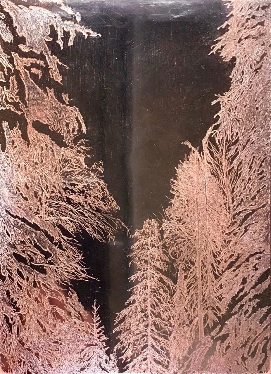 Metsän Hiljaisuus (Silence of the Forest) — Alex Gough