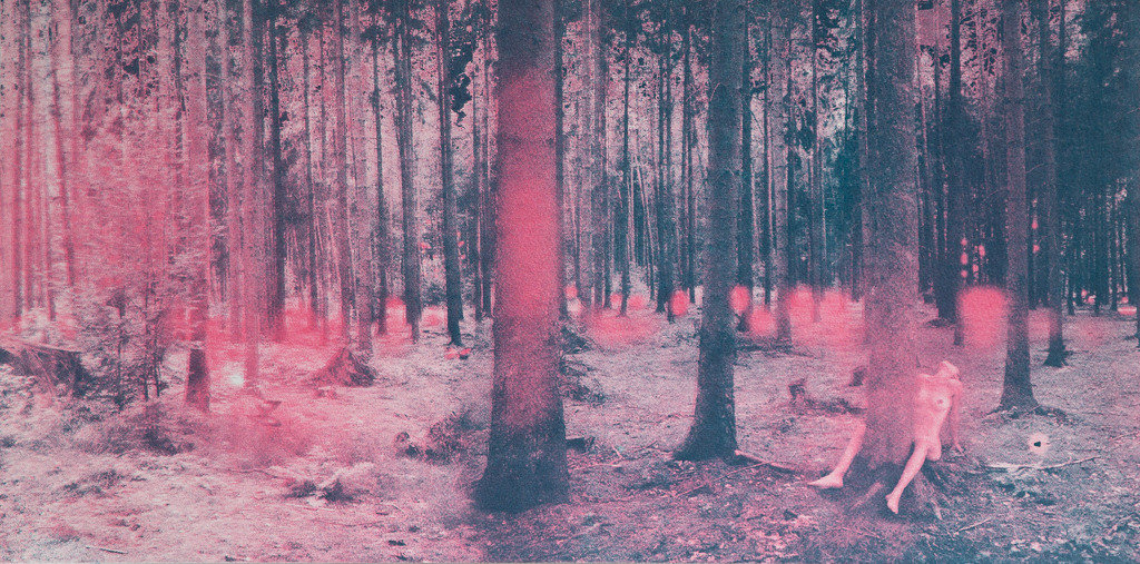 Anochece — Constanza Pulit