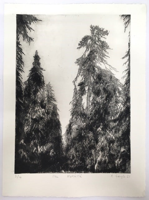Ilta Metsässä- Evening in the Forest — Alex Gough