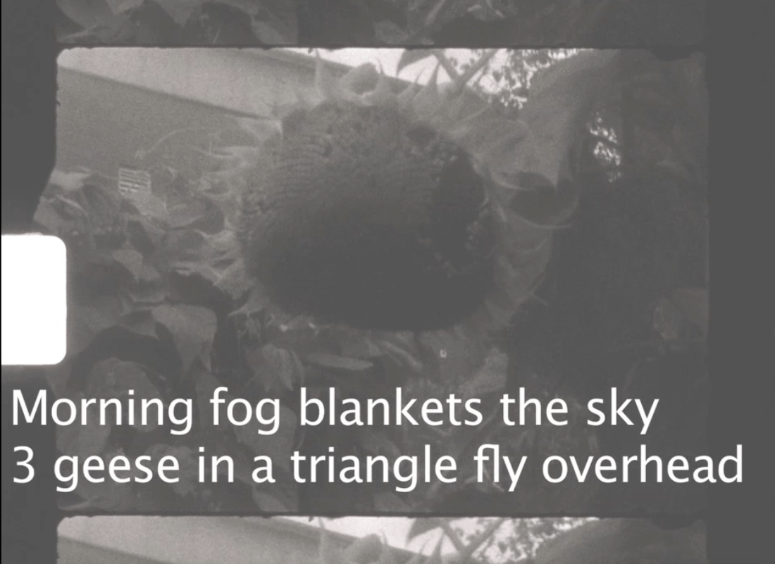Subtitle — view 5