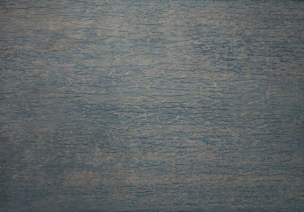 Open Water — Roger Holtom