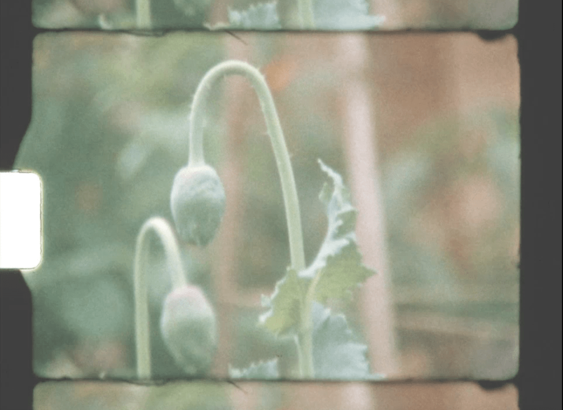 Subtitle — view 3
