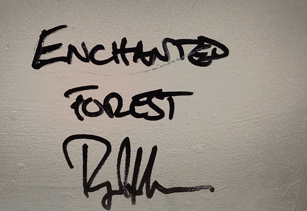 Enchanted Forest — view 3