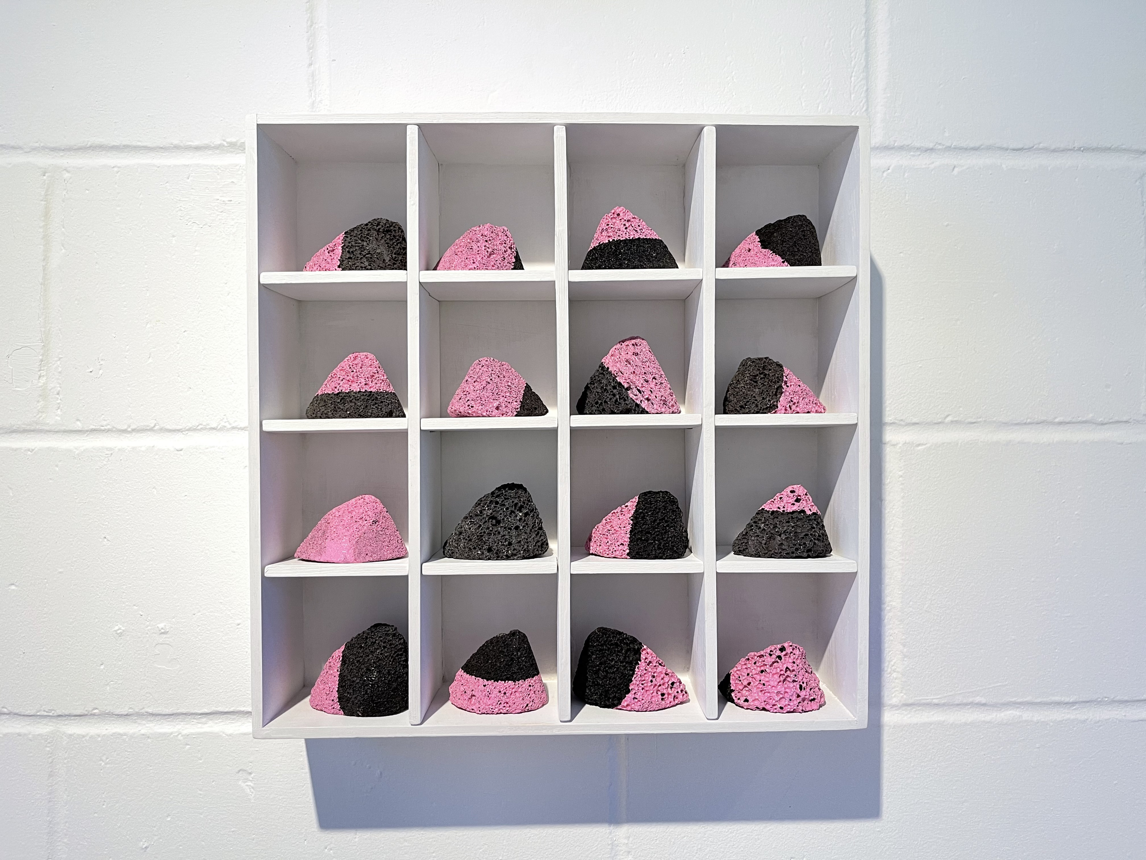 Pink Wash — Shadi Rezaei