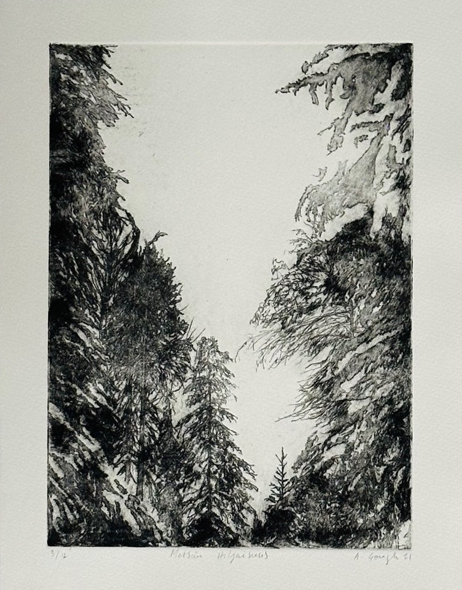 Metsän Hiljasuus (Silence of the Forest) — Alex Gough